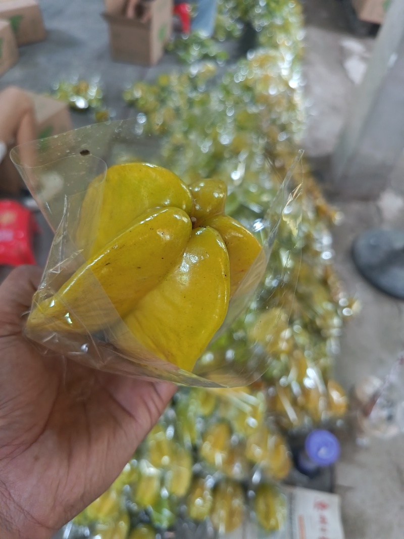 广州杨桃货源充足/支持批发零售/一件代发一手货源对接全国