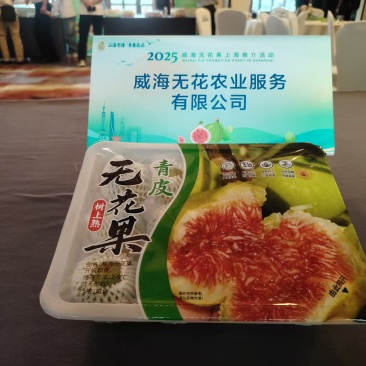 山东威海青皮无花果氮气锁鲜装