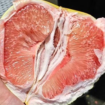 平和琯溪精品红心蜜柚，全国供货，规格齐全，