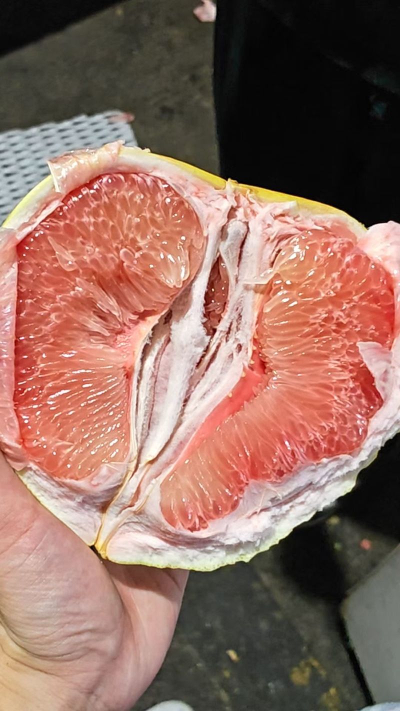 平和琯溪精品红心蜜柚，全国供货，规格齐全，