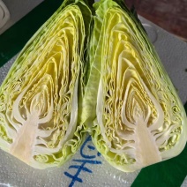 甜心小甘蓝，自有基地，全年供应，一手货源，欢迎来询
