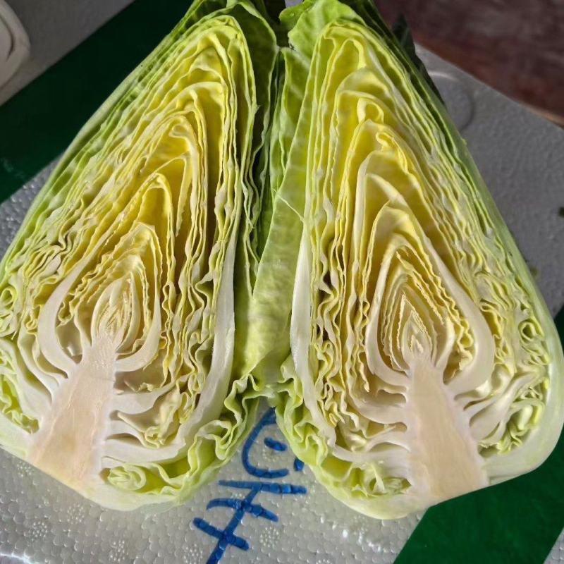 甜心小甘蓝，自有基地，全年供应，一手货源，欢迎来询
