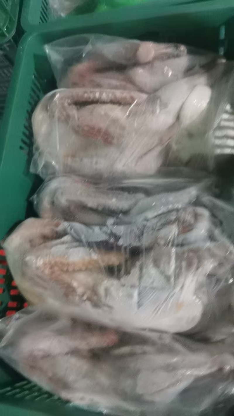 广东黑棕，冰鲜鹅和冻鹅各种规格齐全