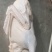 广东黑棕，冰鲜鹅和冻鹅各种规格齐全