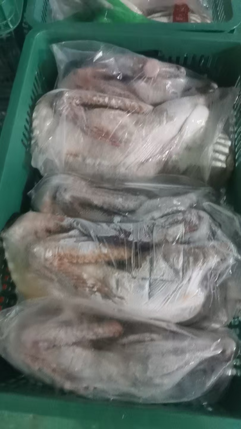 广东黑棕，冰鲜鹅和冻鹅各种规格齐全
