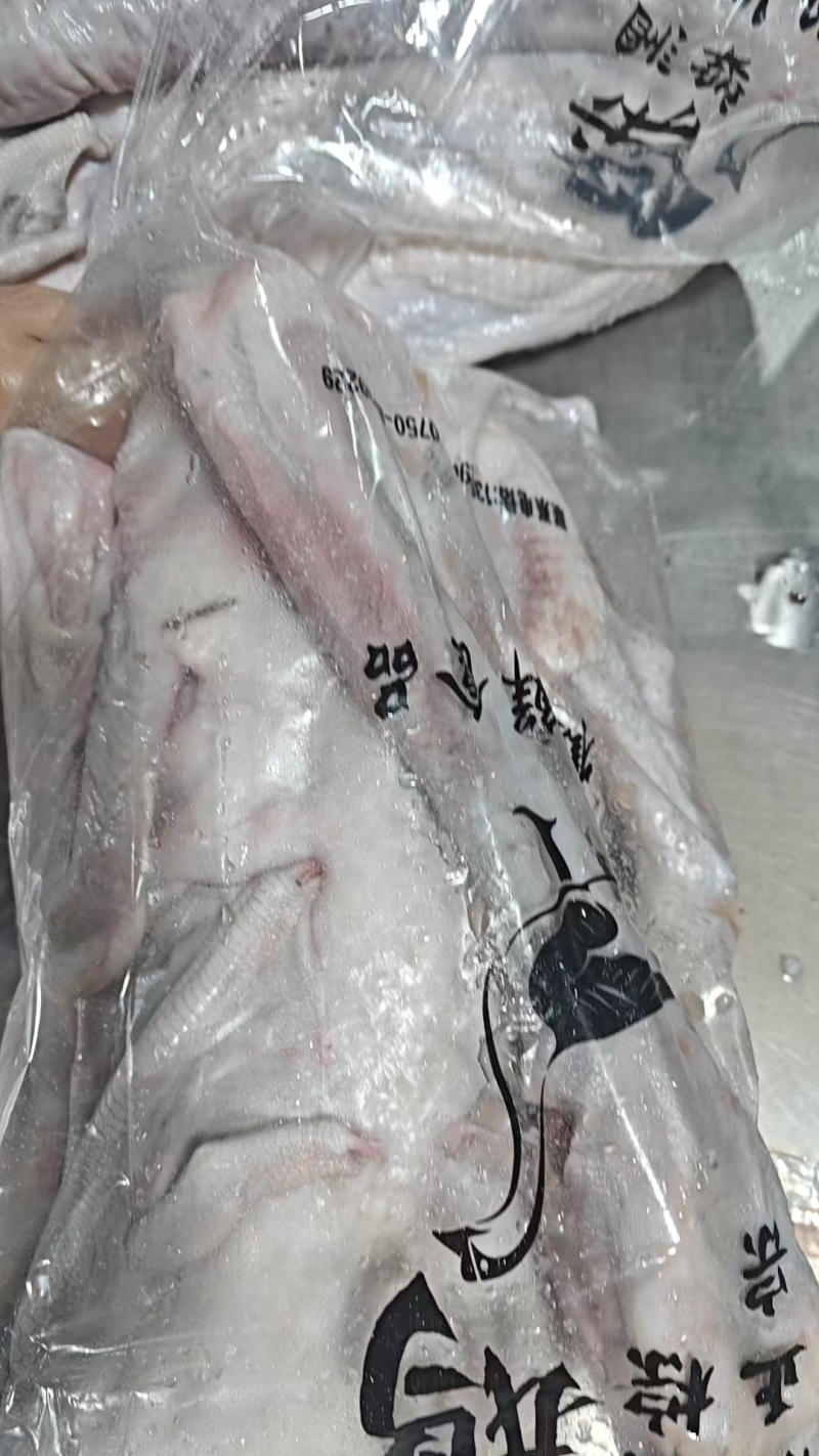 广东黑棕，冰鲜鹅和冻鹅各种规格齐全