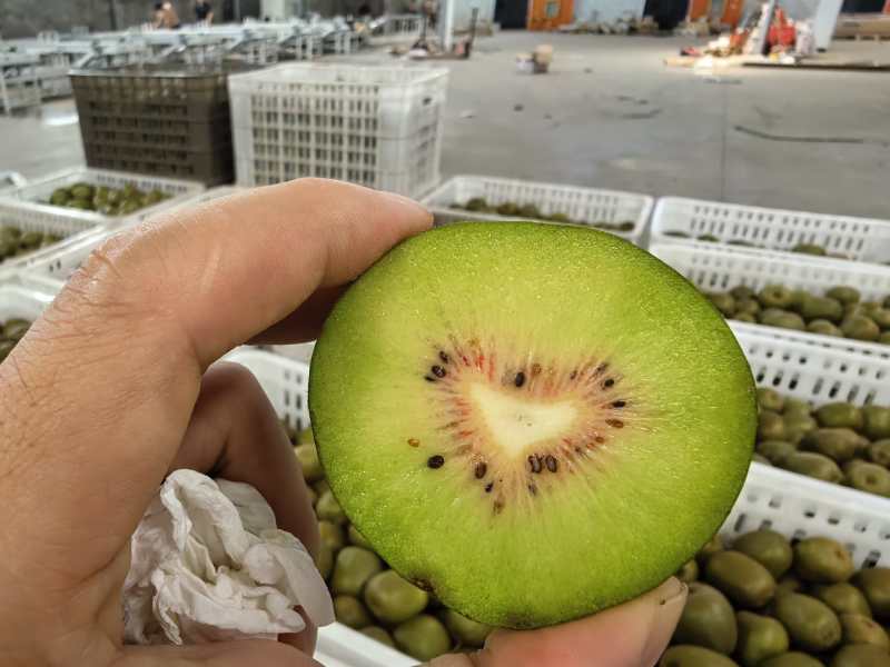 红心心猕猴桃开始了一件代发，渠道