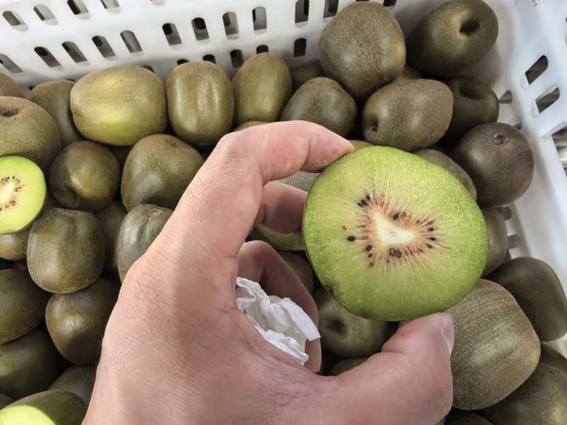 红心心猕猴桃开始了一件代发，渠道
