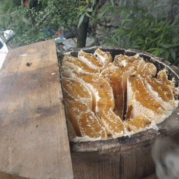 齐岳山土蜂蜜