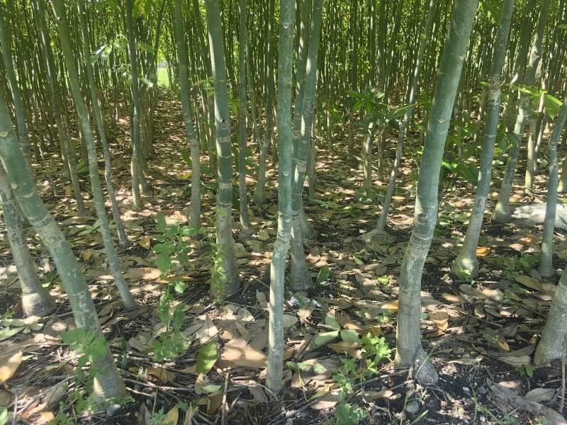 有需要的加微信***********