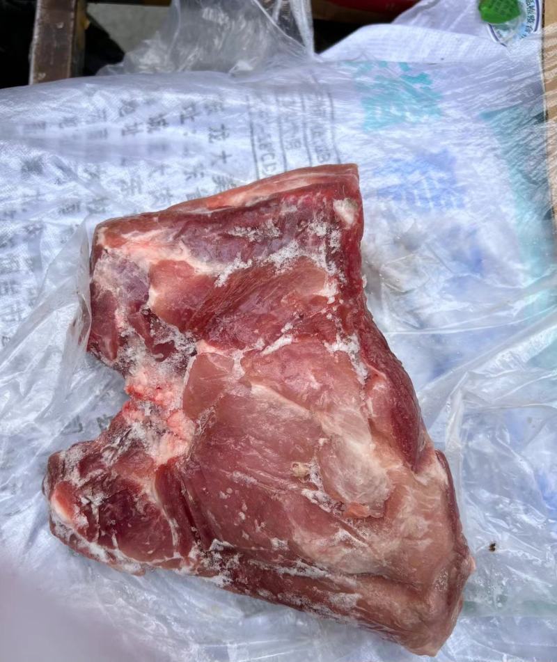 一级肥猪去颈前排