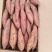 唐山烟薯25