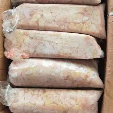 生羊拐肠