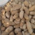 麦肯土豆