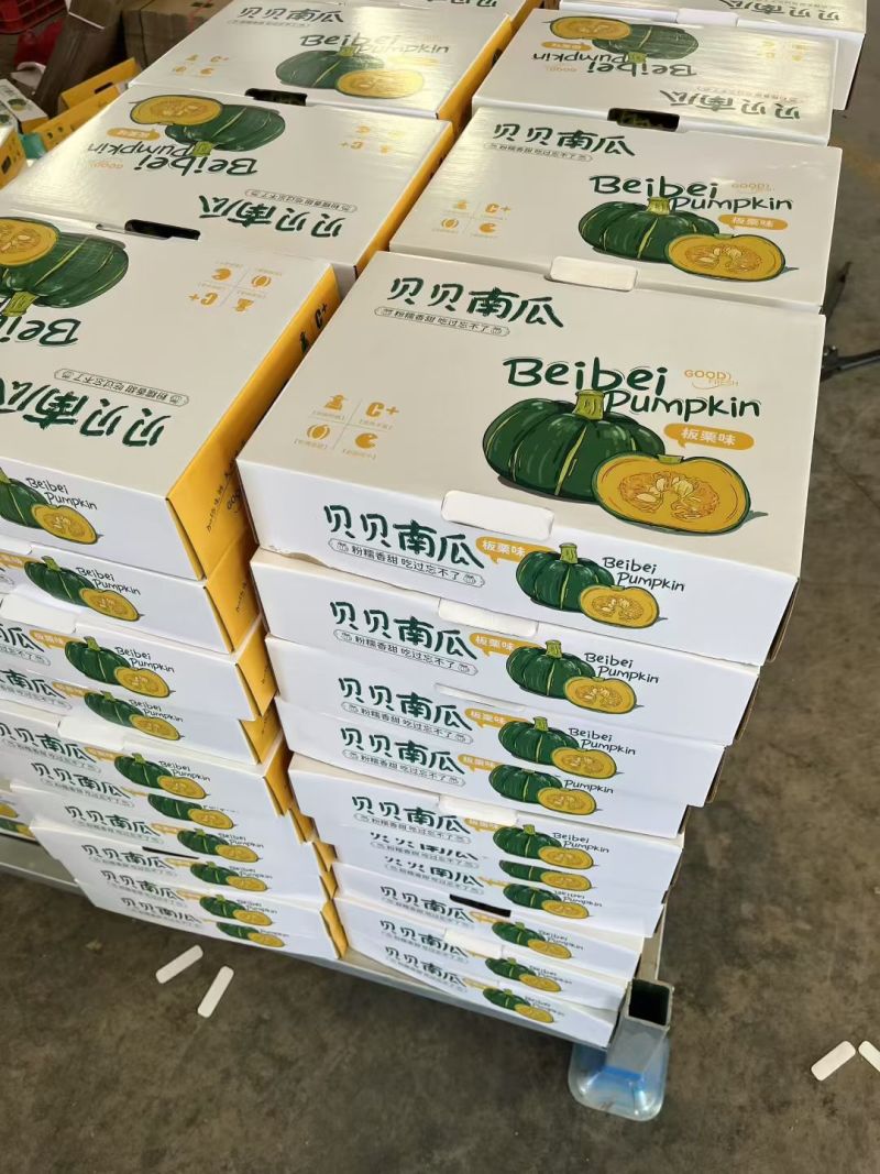 贝贝南瓜产地直发，大量有货，可供国内外商超，电商，市场多个平