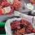 西昌克伦生葡萄大量有货基地直供品质优可对接市场欢迎咨询