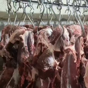 大量批发牛肉