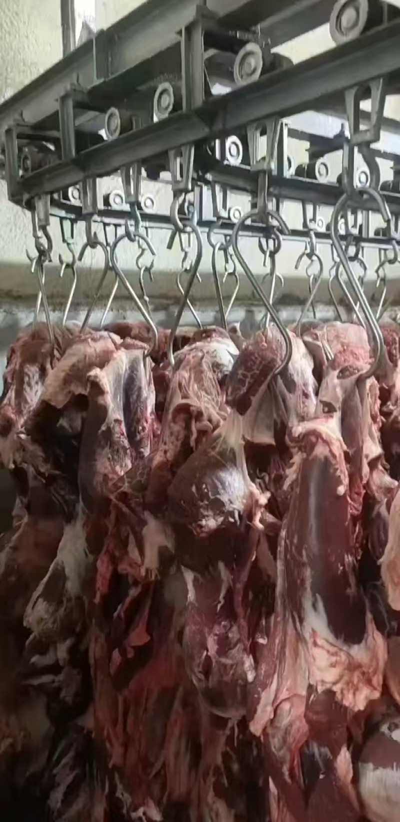 大量批发牛肉