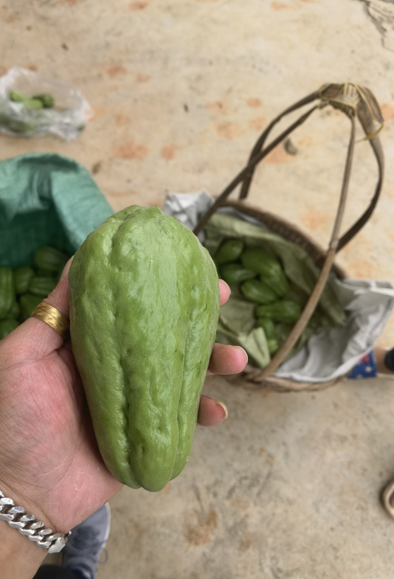 云南各种配货