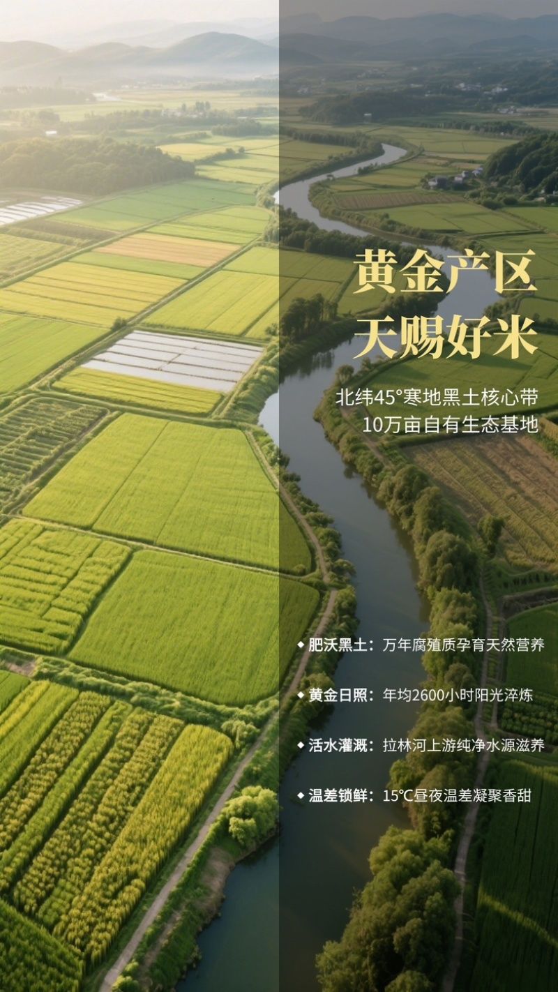 筷乐加分正宗五常稻花香2号，真空包装，自有十万亩种植基地