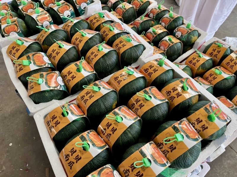 贝贝南瓜板栗贝贝南瓜