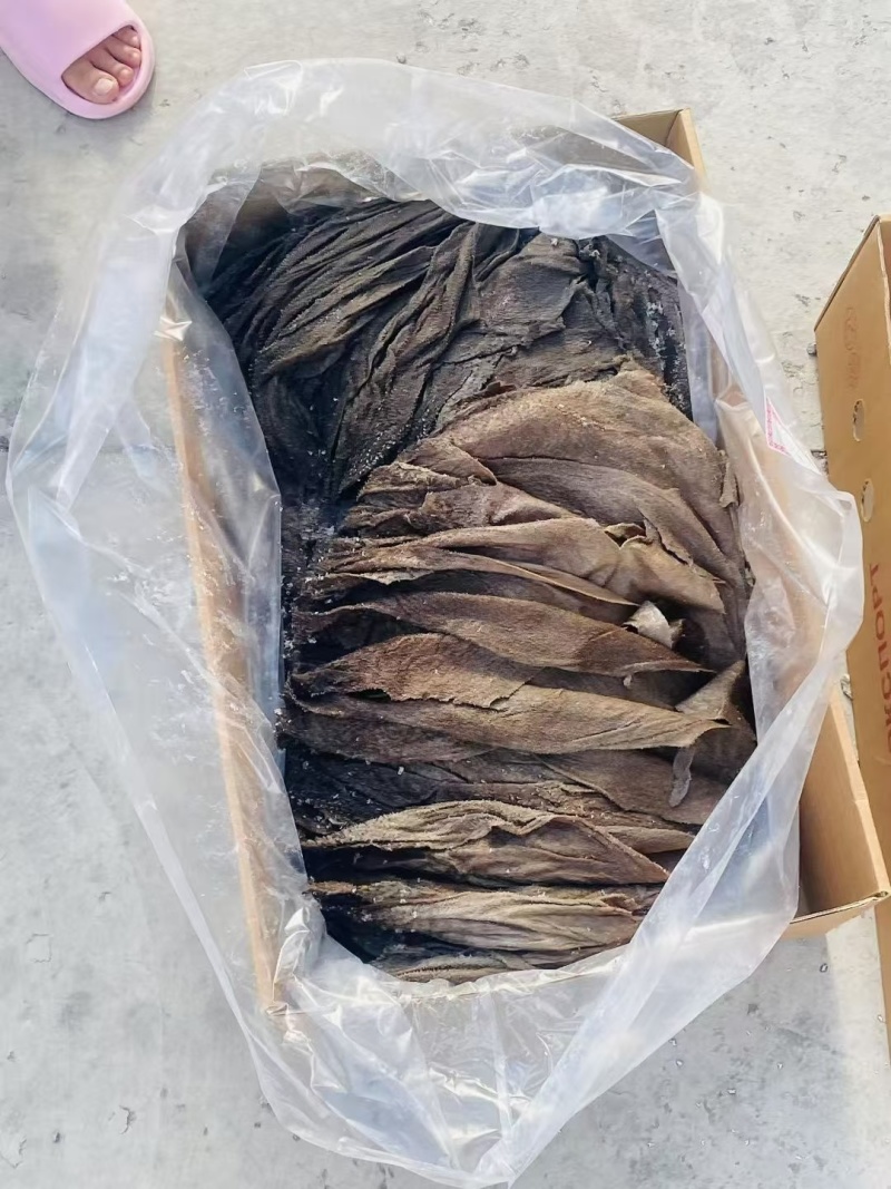 牛百页火锅食材牛副食品批发零售