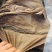 牛百页火锅食材牛副食品批发零售
