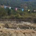 福建连城白鹭鸭，470天山泉水饲养的药膳鸭