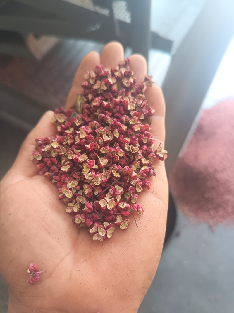 花椒武都花椒精品花椒产地直供一手货源欢迎咨询
