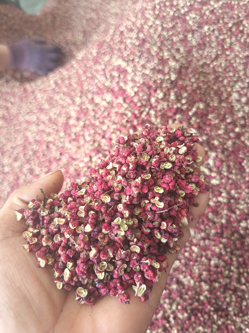 花椒武都花椒精品花椒产地直供一手货源欢迎咨询