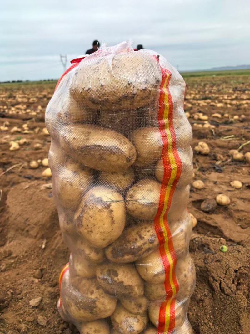 精品土豆，沃土，希森等，大量有货，需要的联系