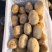 精品土豆，沃土，希森等，大量有货，需要的联系