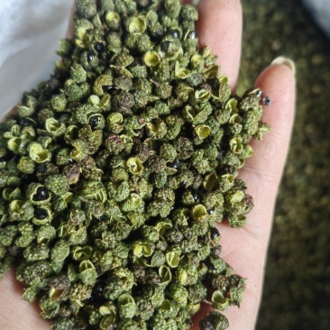 盐源青花椒