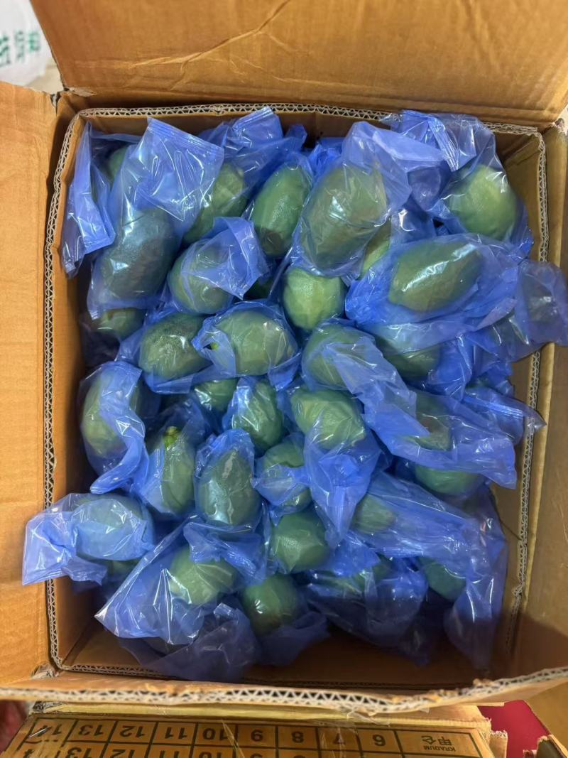 广东香水柠檬（蓝膜）