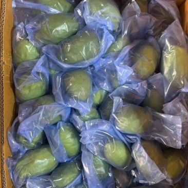 广东香水柠檬（蓝膜）