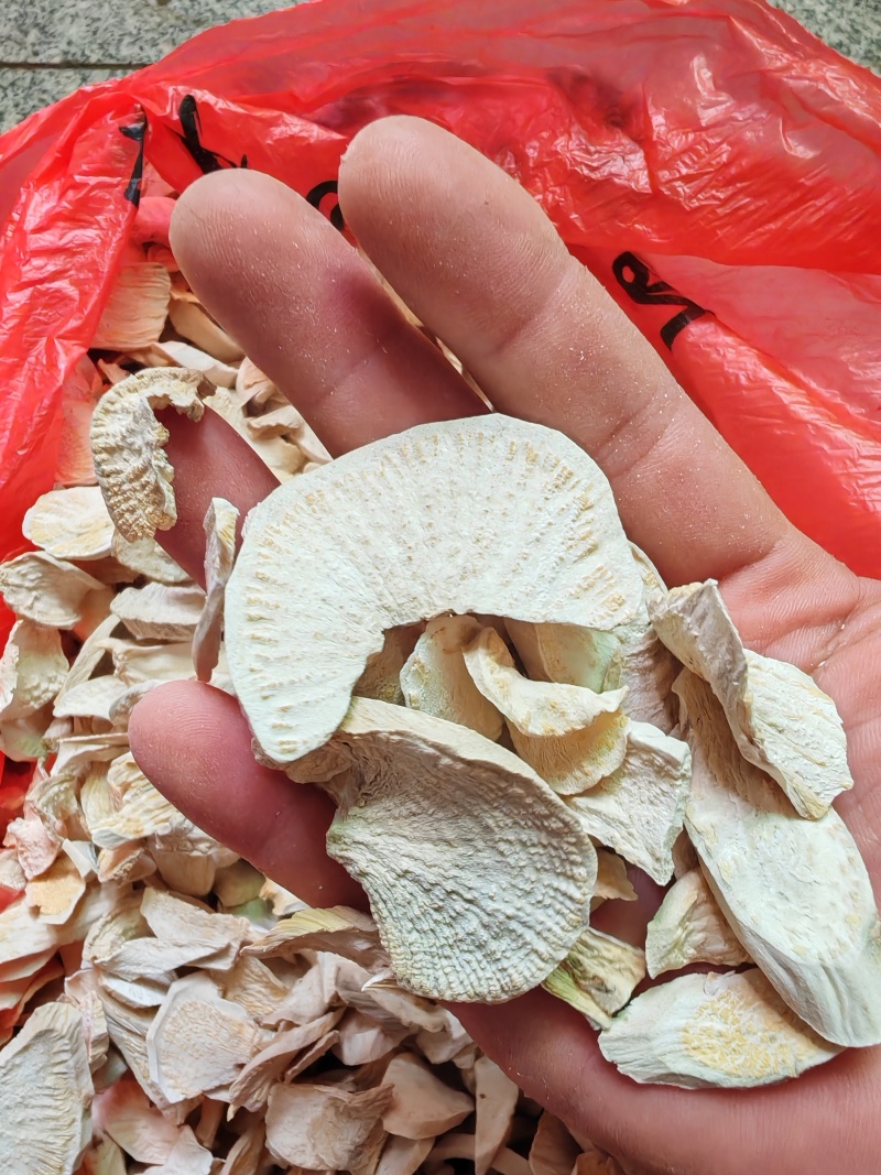 隔山消干片也叫牛皮冻飞来鹤