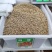 新采咖啡豆种子咖啡树种子日常饮用植物种子阳台观赏盆栽