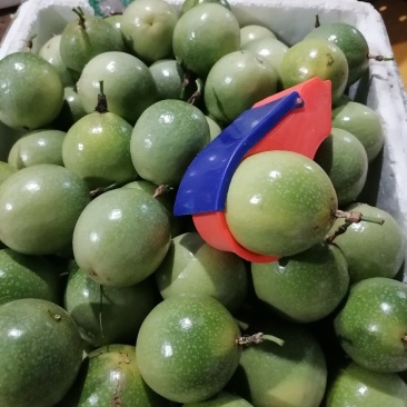黄金百香果