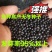 药材天冬种子新鲜颗粒饱满正宗大天冬良种天冬种子高档中药材