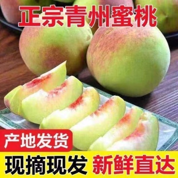 正宗青州蜜桃打箱发货**甜脆