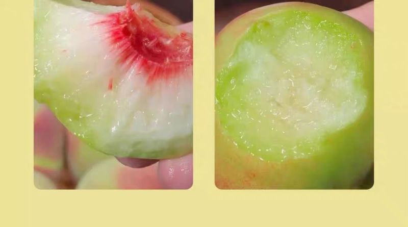 正宗青州蜜桃打箱发货**甜脆