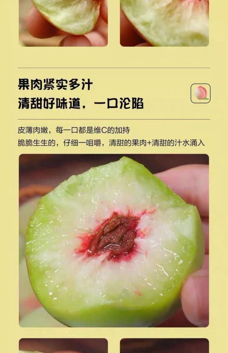 正宗青州蜜桃打箱发货**甜脆