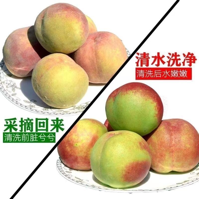 正宗青州蜜桃打箱发货**甜脆