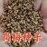岗梅种子点称星种子称星树苗种子山梅根苗假青梅苗天