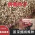 岗梅种子点称星种子称星树苗种子山梅根苗假青梅苗天
