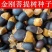菩提种子菩提树种子金刚菩提树千丝菩提树种子