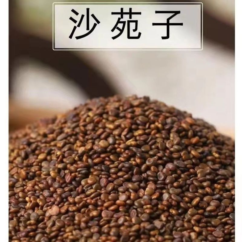 野生沙苑子种子茶潼蒺藜夏黄草沙宛子夏黄草中药材多年生草本