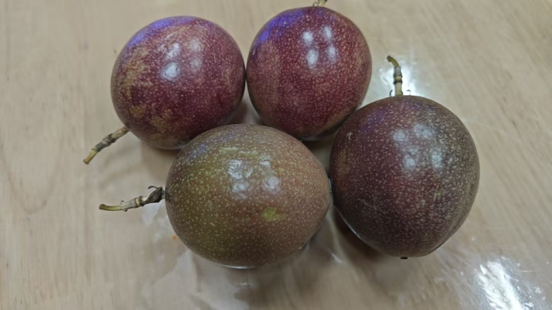 台农，黄金百香果，工厂挖浆果