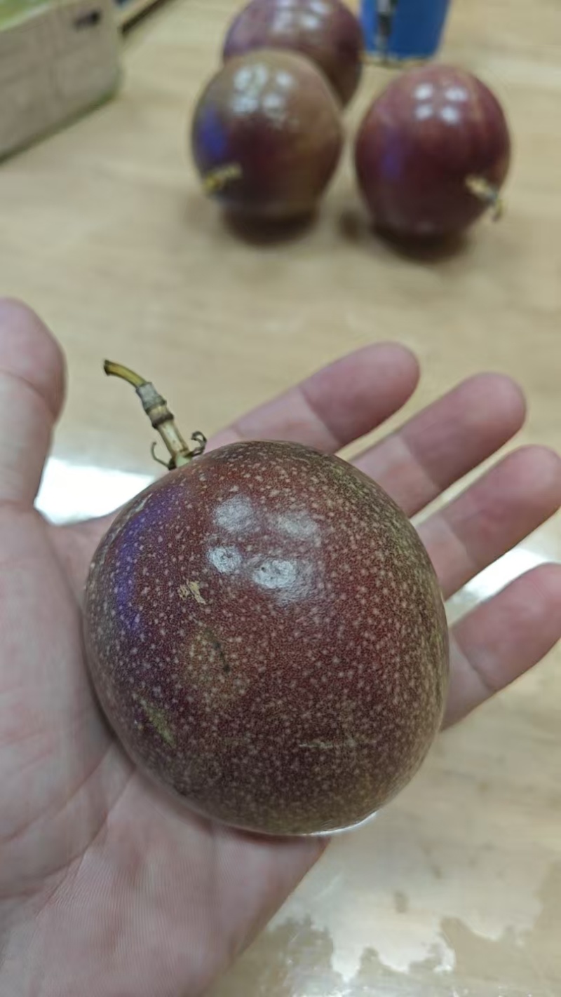 台农，黄金百香果，工厂挖浆果