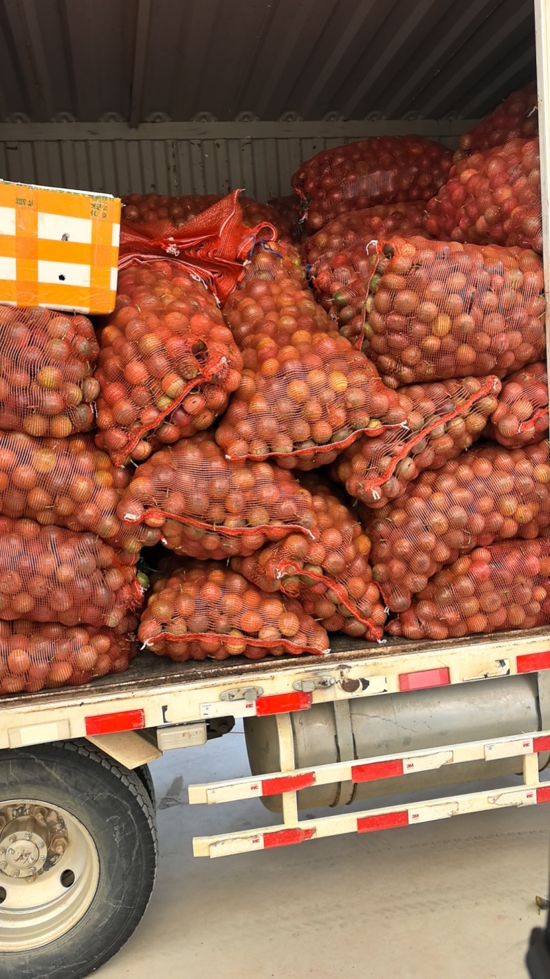 台农，黄金百香果，工厂挖浆果